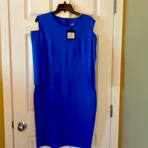 Gorgeous rich color St John dress
